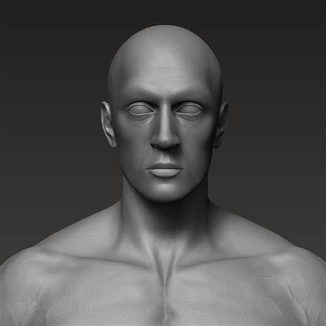 Artstation Male Realistic Anatomical Study