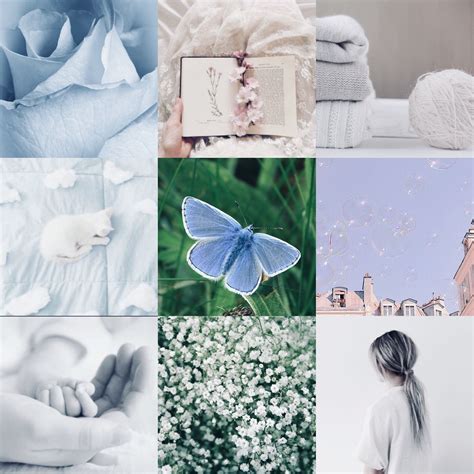 Isfj The Nurturer Aesthetic Isfj Isfj Personality Mood Board