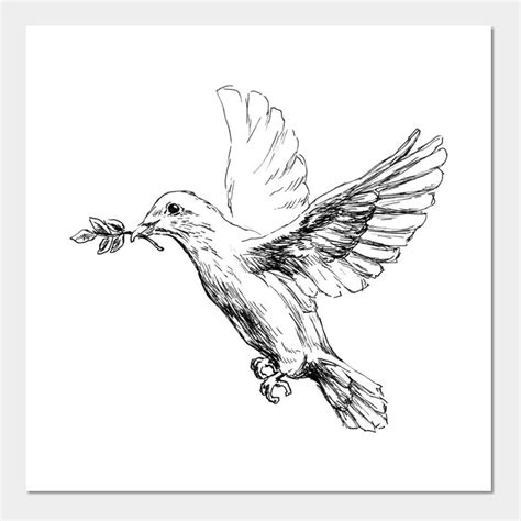 White Dove Illustration Wall Art Print