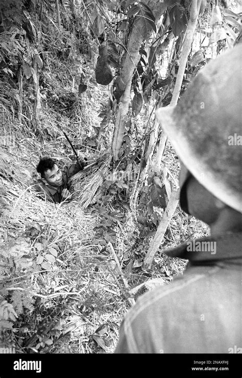 Vietnamese Soldiers Capture A Communist Viet Cong Guerrilla Hiding In