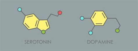 Qu Es La Dopamina Y Qu Es La Serotonina Blogs Mapfre