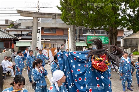 【加太春日神社 例大祭 渡御祭（えび祭り）】の画像素材70613470 写真素材ならイメージナビ