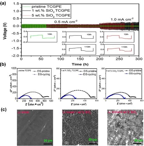 A Longterm Cycling Of Symmetrical Li Cells Using The Pristine TCGPE