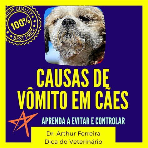 Causas e Soluções para Vômitos em Cães Cachorro Vomitando O que Fazer