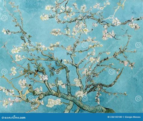 Vincent Van Gogh Blossom Atelier Yuwa Ciao Jp