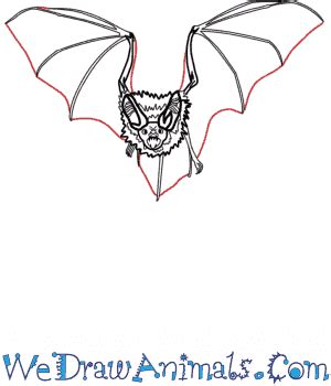 Bat Drawing Realistic To explore more similar hd image on pngitem