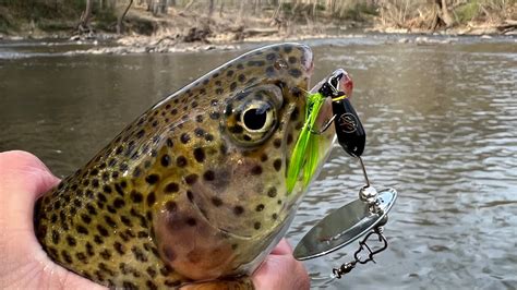 Fishing With The FIRST GOOGAN TROUT LURE AMAZING Underwater Footage