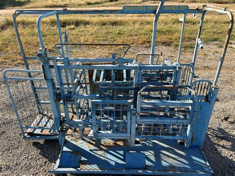 Lot 83 Draffen Sheep Handler Auctionsplus