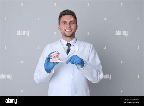 Dentist With Jaws Model And Toothbrush On Light Grey Background Oral