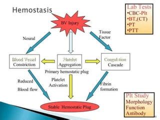 Factor v deficiency | PPT