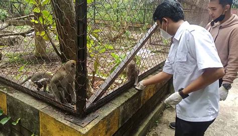 MATI Puluhan Satwa Di Taman Jahri Saleh Gegara Banjir Suar Indonesia