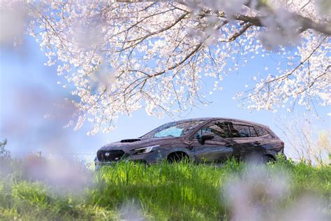 レヴォーグのいつもイイね＆コメントありがとうございます😆・discover Ct・サクラと愛車・桜とコラボ・春はまだ終わらないに関するカスタム事例｜車のカスタム情報はcartune