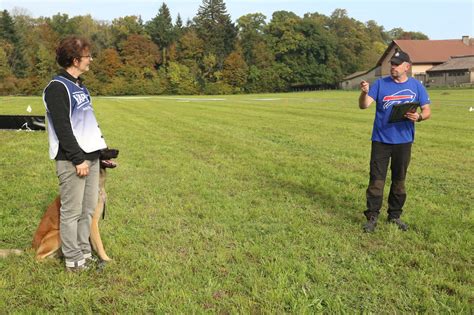 Photos Des Concours Du Club Du Berger Allemand Club Du Berger