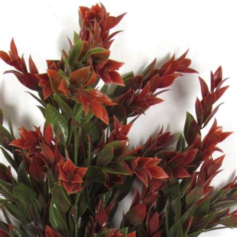 Ruscus Artificiale Cespuglio Verde E Rosso Resistente Ai Raggi UV