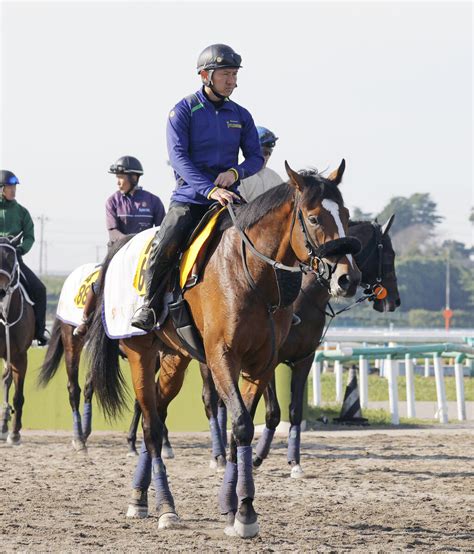 【みやこs・山下の特注馬】穴ならホウオウルーレット 前走で直線一気を決め、栗東滞在で上昇気配 ライブドアニュース