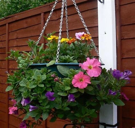 3 X HANGING BASKET BRACKETS CONCRETE POSTS H SECTION CP27 BLACK