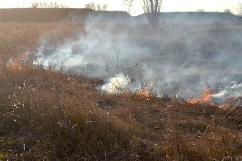 Premium Photo Dry Grass Burning On Field During Day Closeup Burning