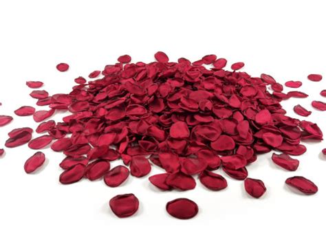 Silk Rose Petals Red Uberoom