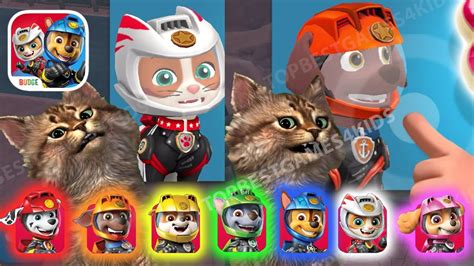 🦴🐱🐕 Paw Patrol Rescue World Silly Kitty Moto Wild Cat And Zuma Gets