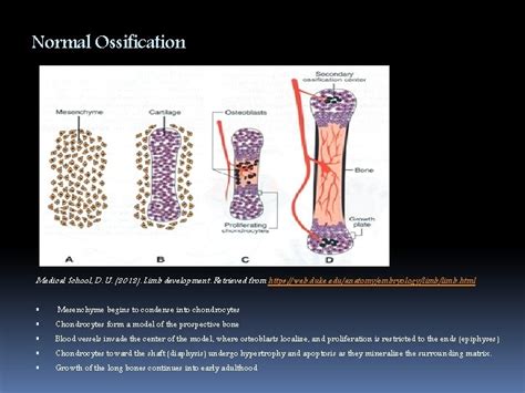 Radiation Therapy As Prophylaxis For Heterotopic Ossifications By