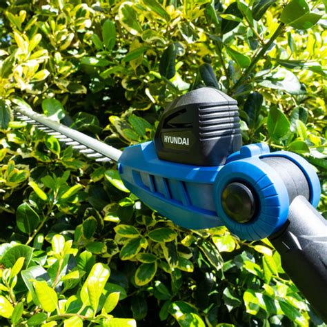 Hyundai 20v 410mm Cordless Long Reach Pole Hedge Trimmer 2ah Li Ion Battery Hy2191