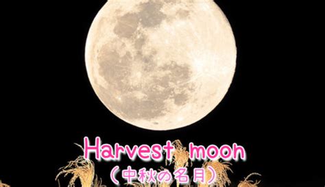 【週末英語 173】「中秋の名月」は英語で「harvest Moon」ちなみに中秋の名月は満月とは限らないよ てふてふさんぽ