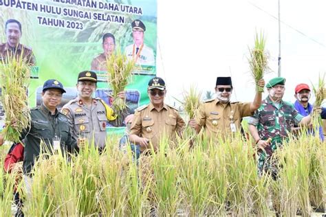 Paman Birin Kagum Program Padi Apung Sukses Dilaksanakan Detak