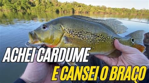 Cardume De Peixes No Rio Nunca Vi Tanto Peixe Na Vida YouTube