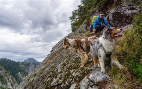 The 7 Most Dangerous Hikes In The Usa