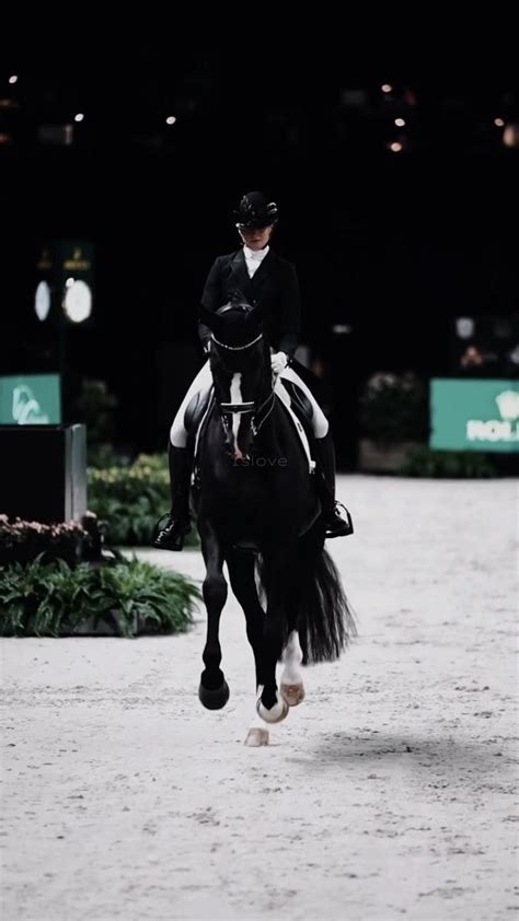 A true black beauty🖤 | Horse dressage, Black horse, Dressage