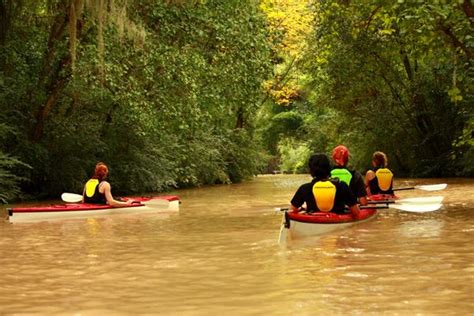 Sudeste Paseos Y Travesías En Kayak Guiados Por El Delta Del Paraná