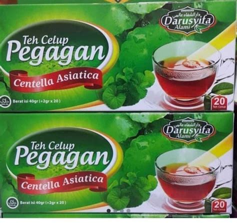 3 BOXES CENTELLA ASIATICA GOTU KOLA TEA TEH CELUP PEGAGAN 20 TEA BAG