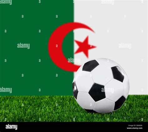 The Algerian flag Stock Photo - Alamy