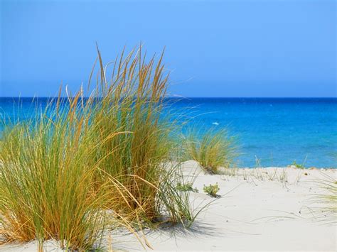 Strand Sardinien Kostenloses Foto Auf Pixabay Pixabay