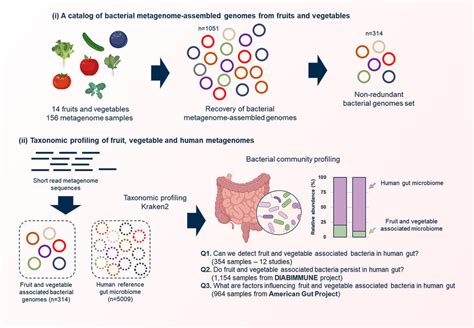 Fruit And Vegetable Derived Microbes Contribute To Gut Microbiome