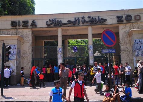 ‘Int’l consultant develops Giza Zoo renovation plan’ - Egyptian Gazette