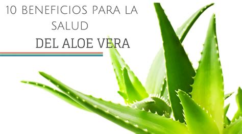 10 Beneficios Para La Salud Del Aloe Vera