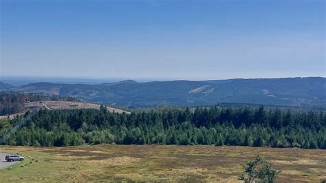 Branches Nues Sauerland Du Nord Photo Gratuite Sur Pixabay Pixabay