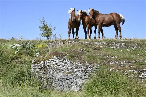 Franche Comté Environnement Polémique Autour Du Casse Cailloux Une Charte De Bonnes