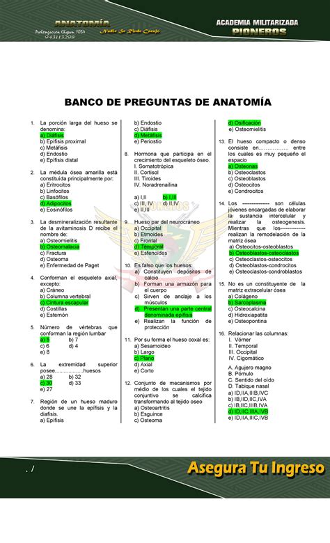 Examen Preguntas Banco De Preguntas De Anatom A La Porci N