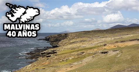 Islas Malvinas Relieve Flora Y Fauna Billiken