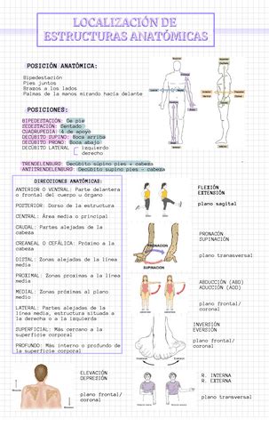 TEMA 1 Pdf