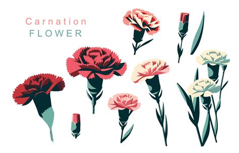 carnation object element.use for mother's day design 45658960 Vector Art at Vecteezy