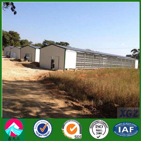 Prefabricated Light Steel Structure Poultry Shed Xgz A China