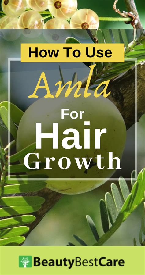 How To Use Amla Oil Amla Powder For Hair Growth Benefit S Of Amla