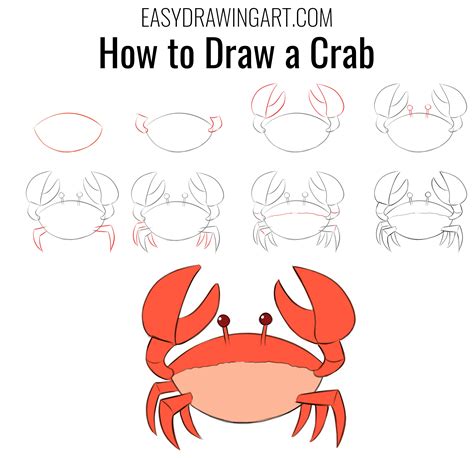 How To Draw A Crab Artofit