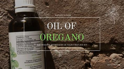 Oil Of Oregano: The Swiss Army Knife Of Medicine?