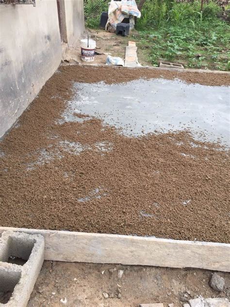 How I Started My Earthen Pond Fish Farming In Abuja Agriculture 8