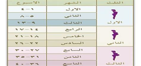 كيف حساب أشهر الحمل موقع مصادر