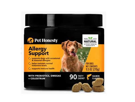 6 Immunity Dog Supplements With Real Boosting Power Great Pet Care